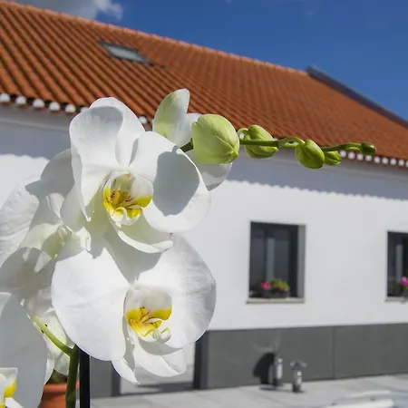 Πανσιόν Altitude House
