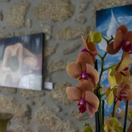Πανσιόν Altitude House Belmonte (Castelo Branco)